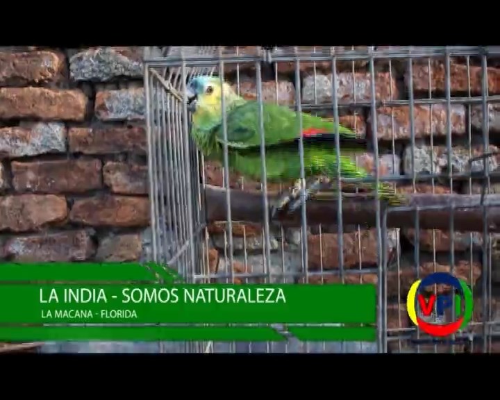 Programa 106 – 23/9/2016